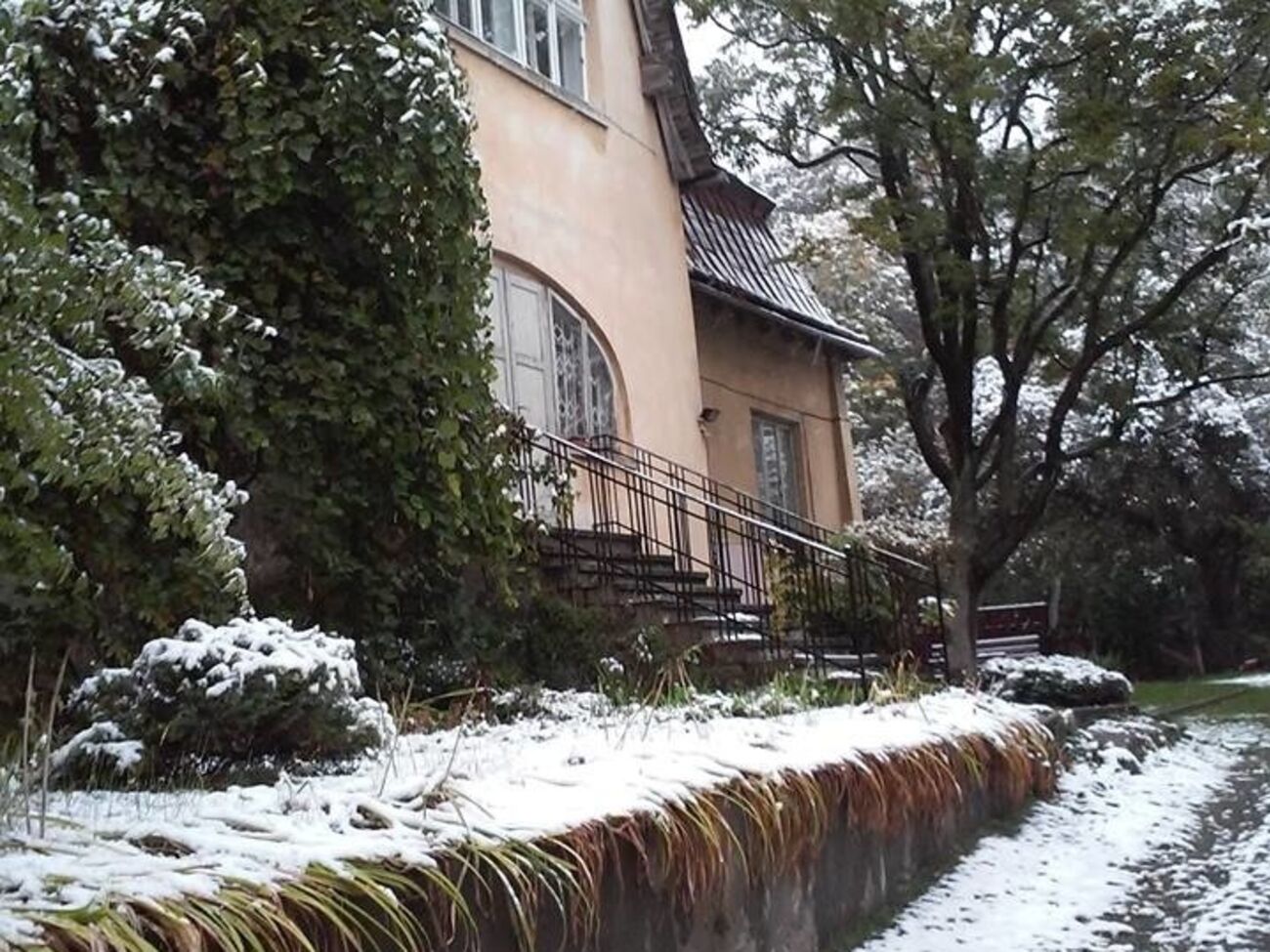 Теперь этот год будут вспоминать как тот, в который снег выпал еще до Покрова, пишут комментаторы в Facebook