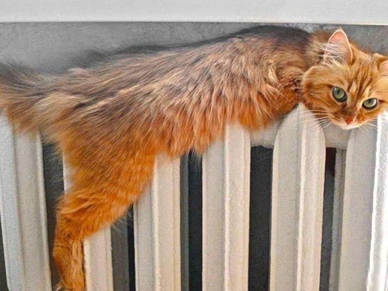 Больше всего домов уже отапливаются в Голосеевском районе, меньше всего &ndash; в Дарницком