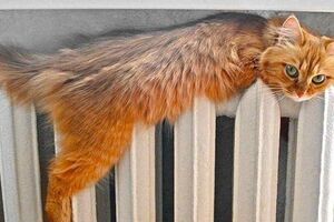 Больше всего домов уже отапливаются в Голосеевском районе, меньше всего – в Дарницком