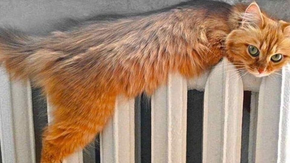 Больше всего домов уже отапливаются в Голосеевском районе, меньше всего – в Дарницком