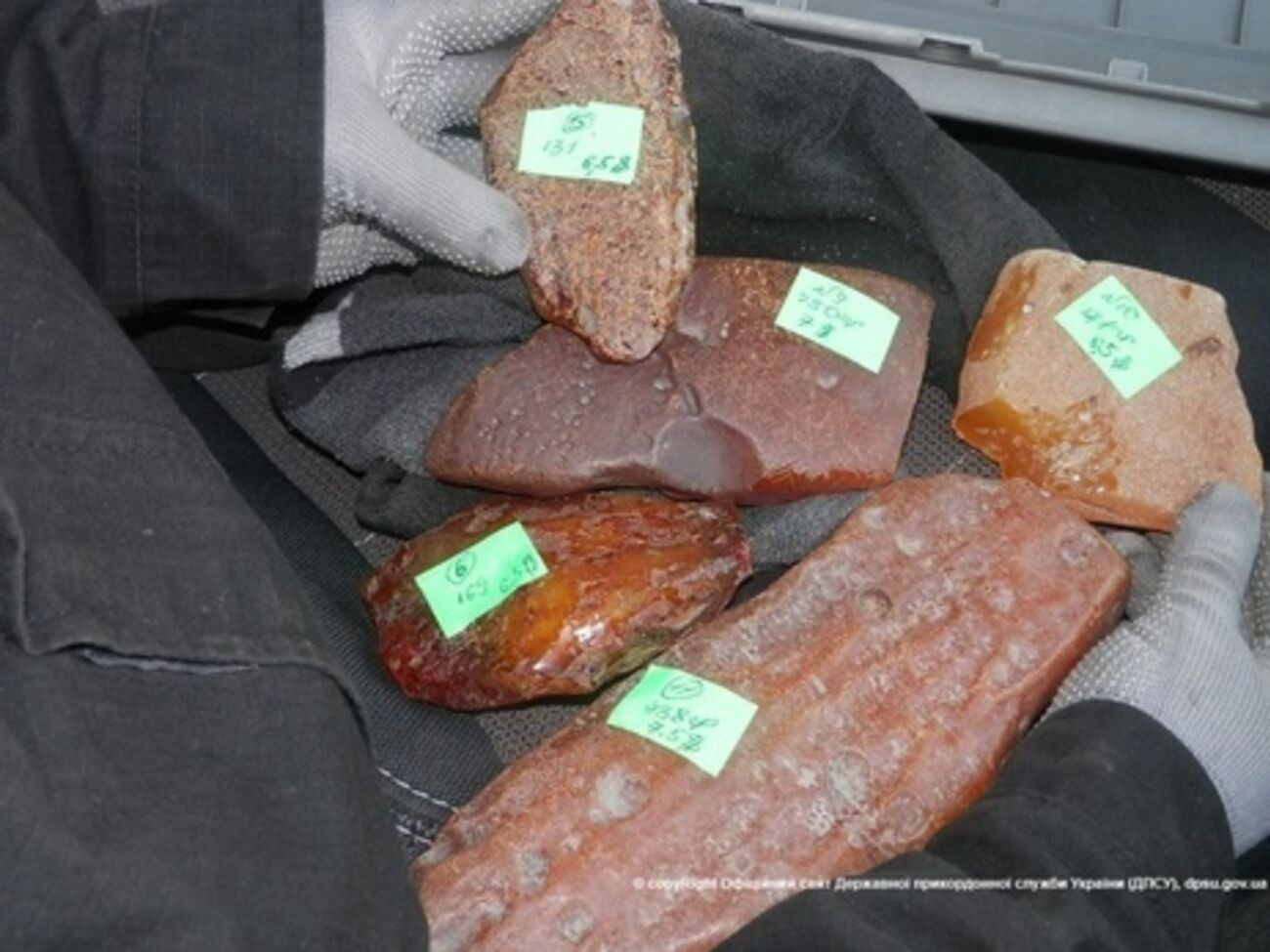 СБУ изъяла на съемной квартире в Ровно 107 кг янтаря