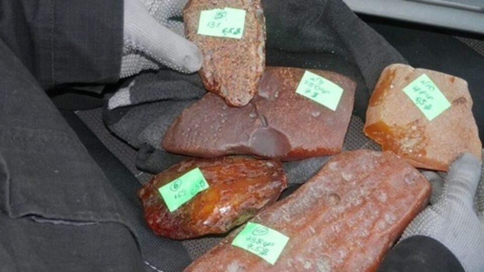 СБУ изъяла на съемной квартире в Ровно 107 кг янтаря