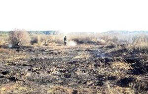 В разных местах Киевской области горят торфяники