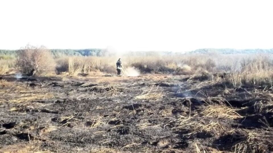 В разных местах Киевской области горят торфяники