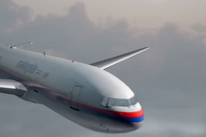 СНБ Нидерландов: Ракета взорвалась прямо перед кабиной пилотов