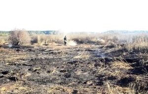 Спасатели говорят, что основная причина возгораний – неосторожность