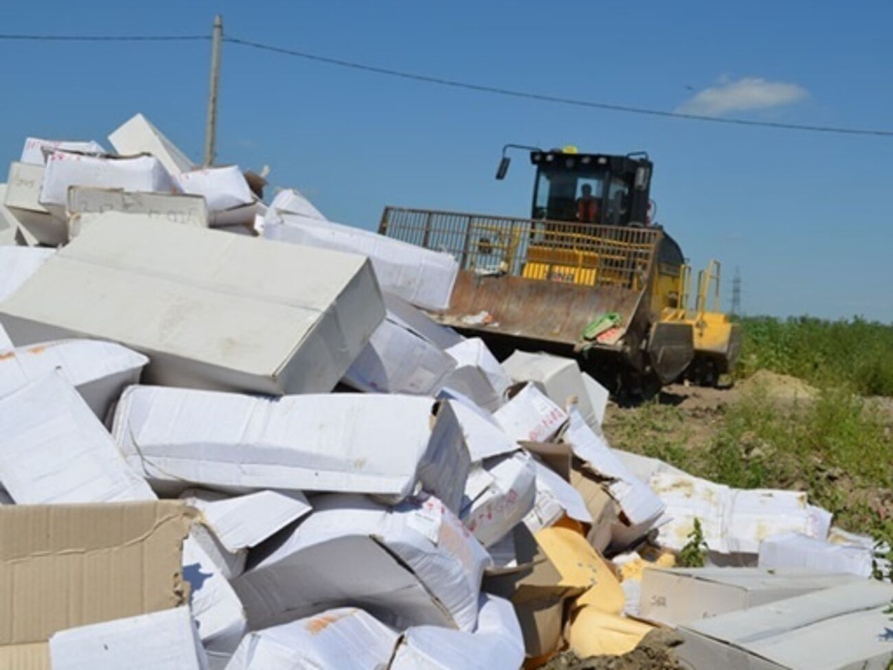 Россияне смогут заказать санкционные продукты через службы доставки