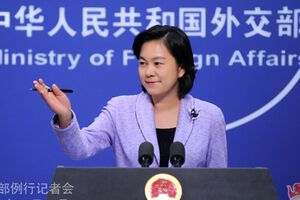 Китайская сторона приняла к сведению доклад о расследовании трагической катастрофы рейса MH17