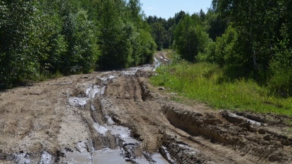 Областные власти планируют отремонтировать дорогу через два года