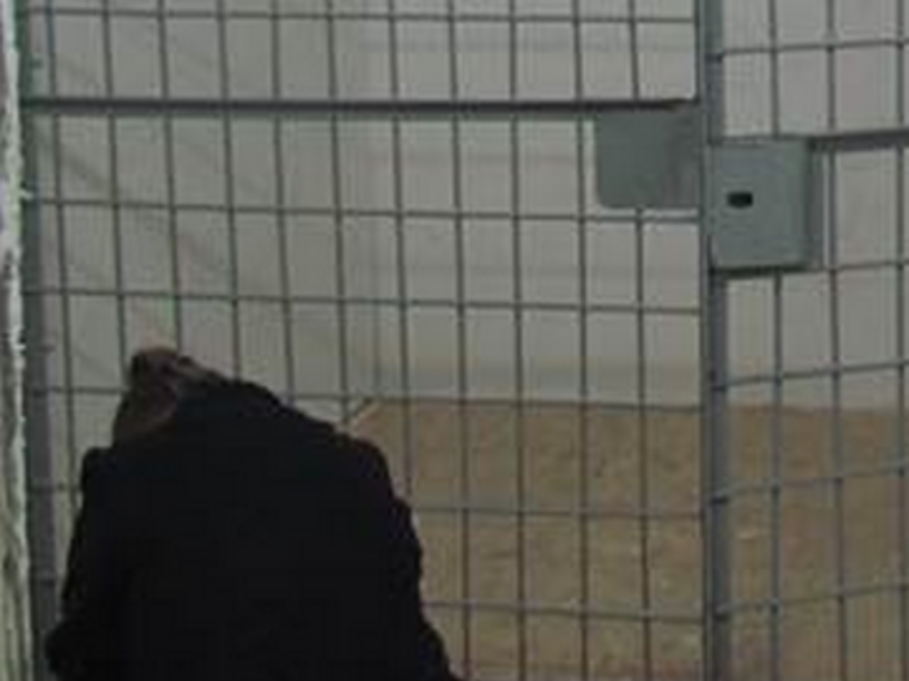 СБУ: В&nbsp;подвальном помещении арендованного злоумышленниками офиса была обустроена камера с решетками, в которую планировалось поместить бизнесмена