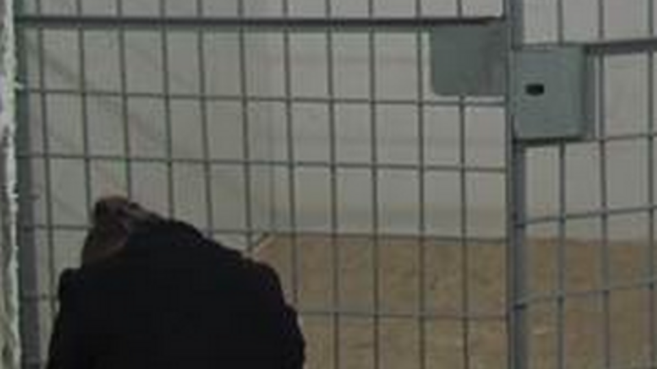 СБУ: В подвальном помещении арендованного злоумышленниками офиса была обустроена камера с решетками, в которую планировалось поместить бизнесмена