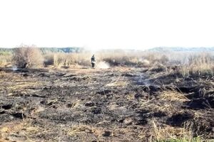 Объявлена высокая пожароопасность