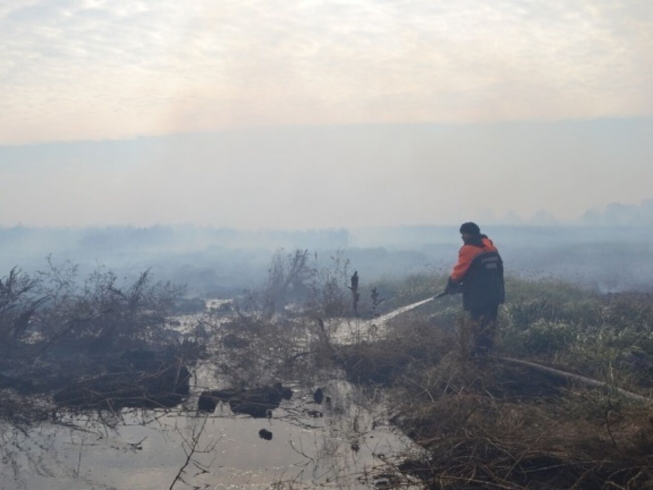Тушение торфяников продолжается