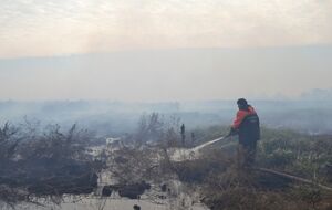 Тушение торфяников продолжается