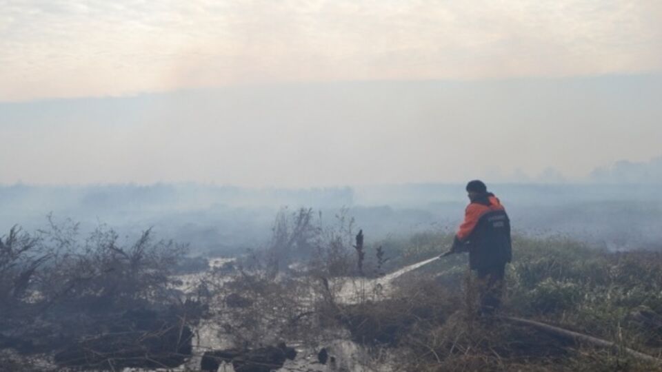 Тушение торфяников продолжается