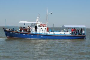 Капитану катера уже предъявили обвинение