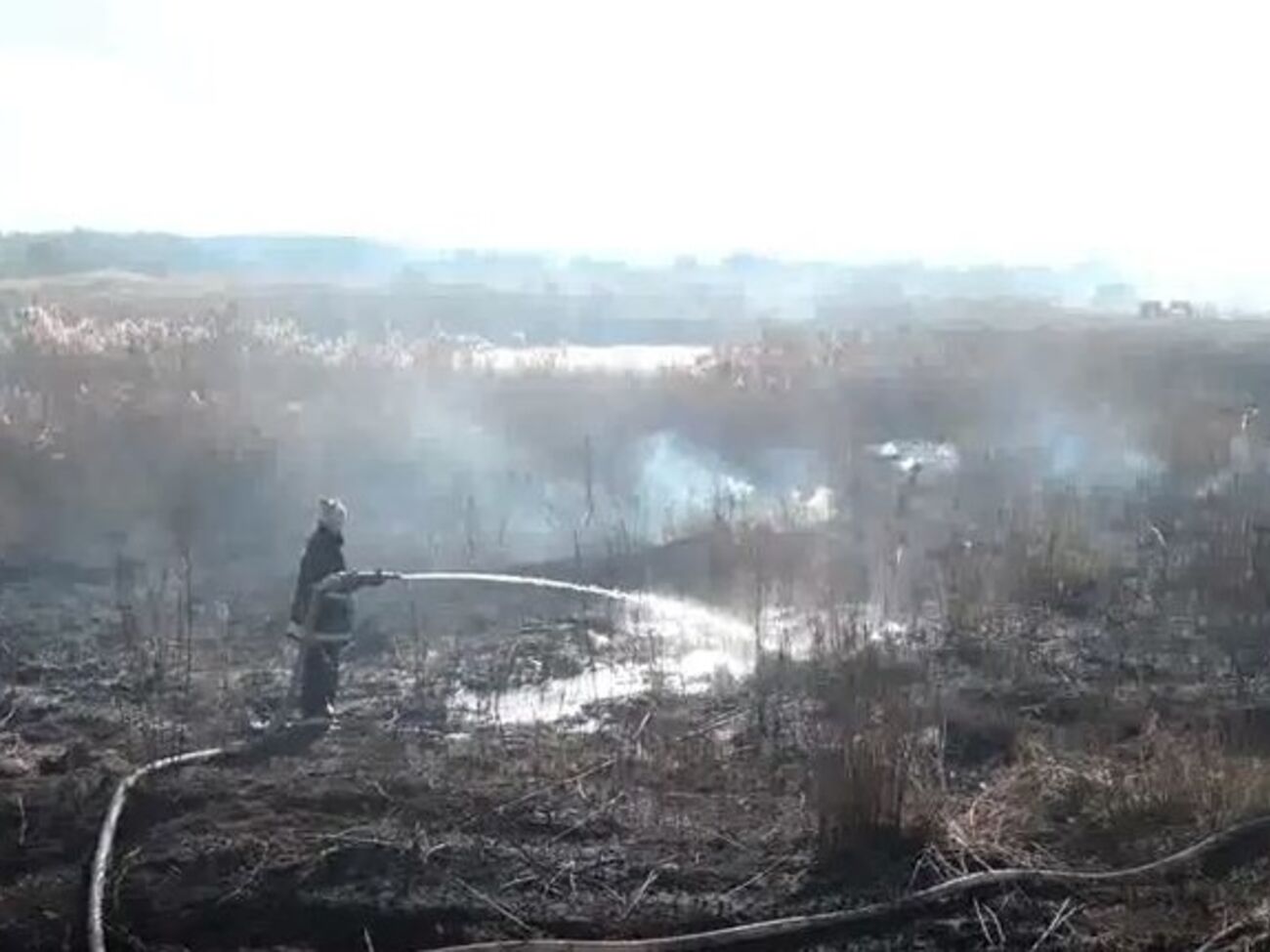 Почти в половине районов Киевской области горят торфяники