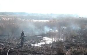 Почти в половине районов Киевской области горят торфяники