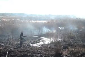 Почти в половине районов Киевской области горят торфяники