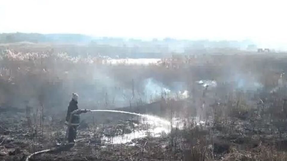 Почти в половине районов Киевской области горят торфяники