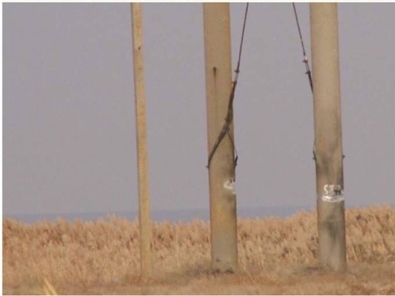 Поврежденная опора ЛЭП в Геническом районе