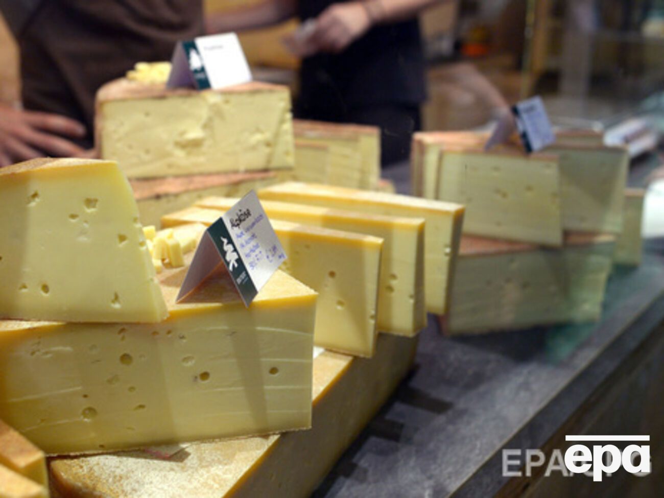 Россия намерена импортировать сыр из Ирана