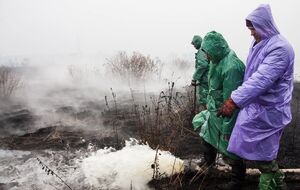 Пожарные продолжают тушить торфяники