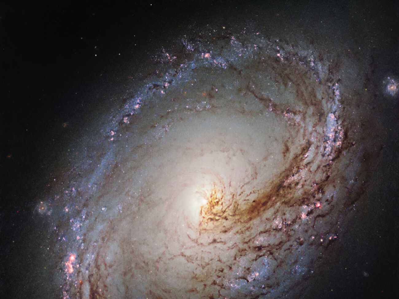 Ученые уверены, что во Вселенной есть другие цивилизации