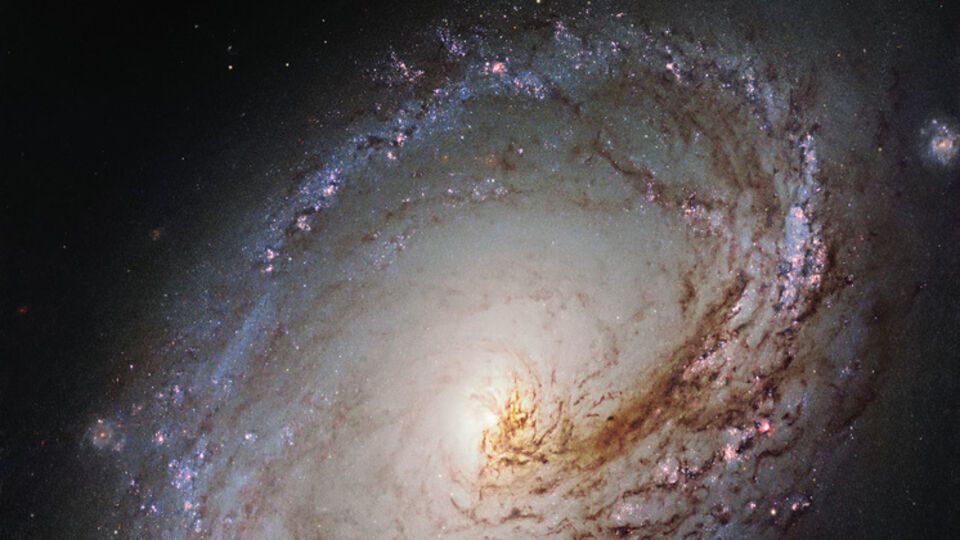 Ученые уверены, что во Вселенной есть другие цивилизации