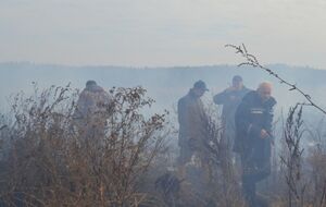 Пожарные продолжают гасить тлеющий торф в Киевской области