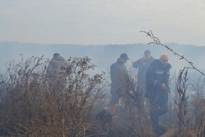 Пожарные продолжают гасить тлеющий торф в Киевской области