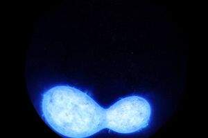 Ученые считают, что двойная звезда либо сольется в одну гигантскую звезду, либо образует двойную черную дыру