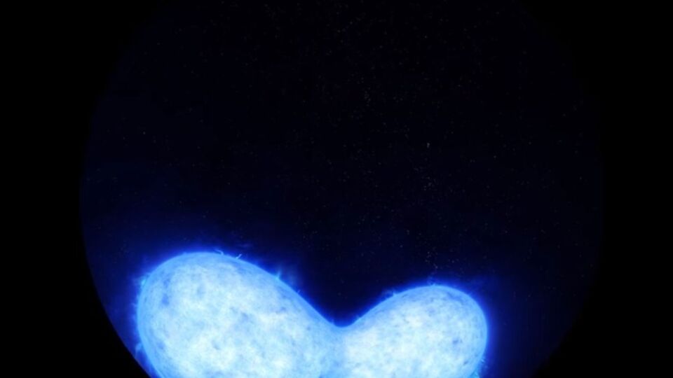 Ученые считают, что двойная звезда либо сольется в одну гигантскую звезду, либо образует двойную черную дыру