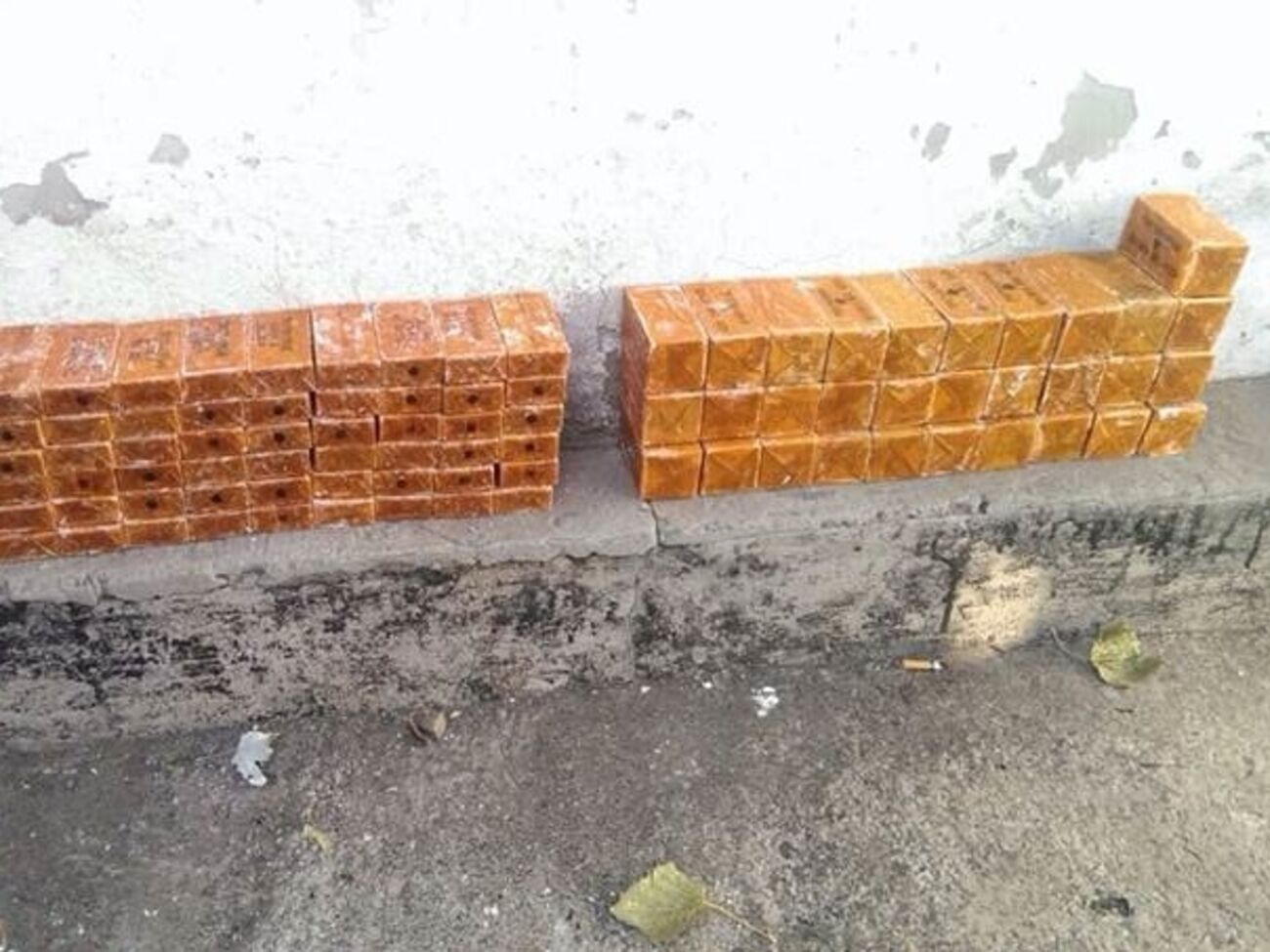 Тайник с тротилом находился в лесополосе около села Зайцево