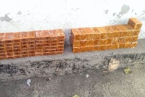 Тайник с тротилом находился в лесополосе около села Зайцево