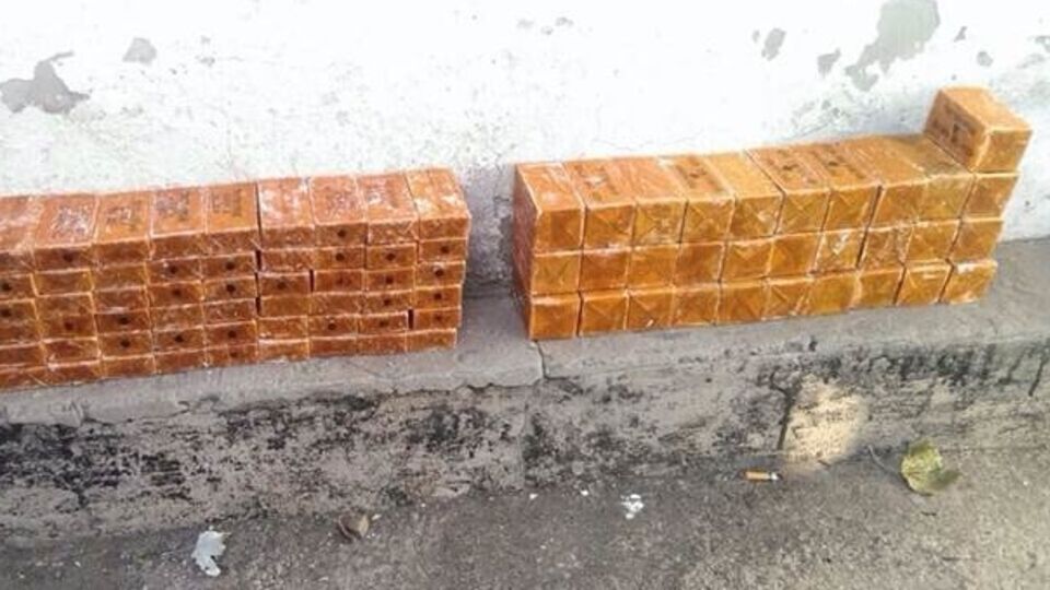 Тайник с тротилом находился в лесополосе около села Зайцево