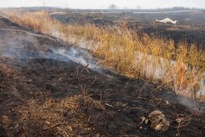 Спасатели продолжают тушить торфяники под Киевом