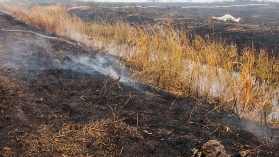 Спасатели продолжают тушить торфяники под Киевом