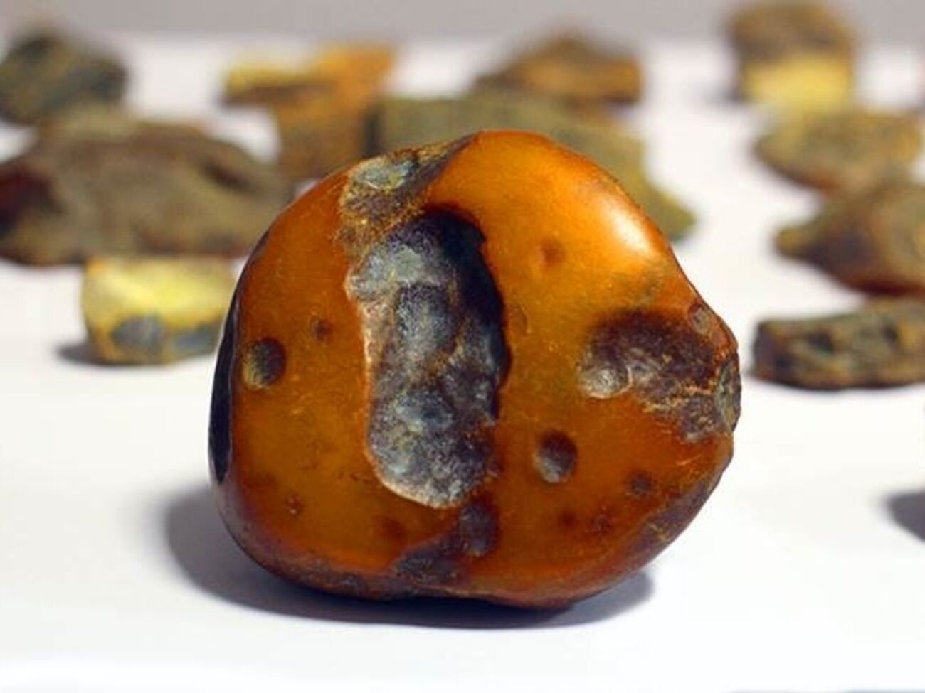 Среди найденного у злоумышленников янтаря имеются уникальные экземпляры