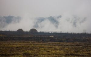 В пятницу часть Киева может затянуть дымом