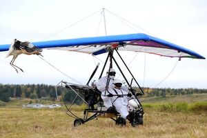 Путин не только вожак журавлей, но и голубь с железными крыльями