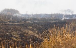 Площадь горения торфяников в Киевской области уменьшается