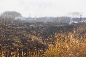 Площадь горения торфяников в Киевской области уменьшается