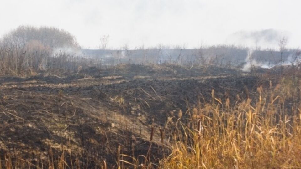 Площадь горения торфяников в Киевской области уменьшается