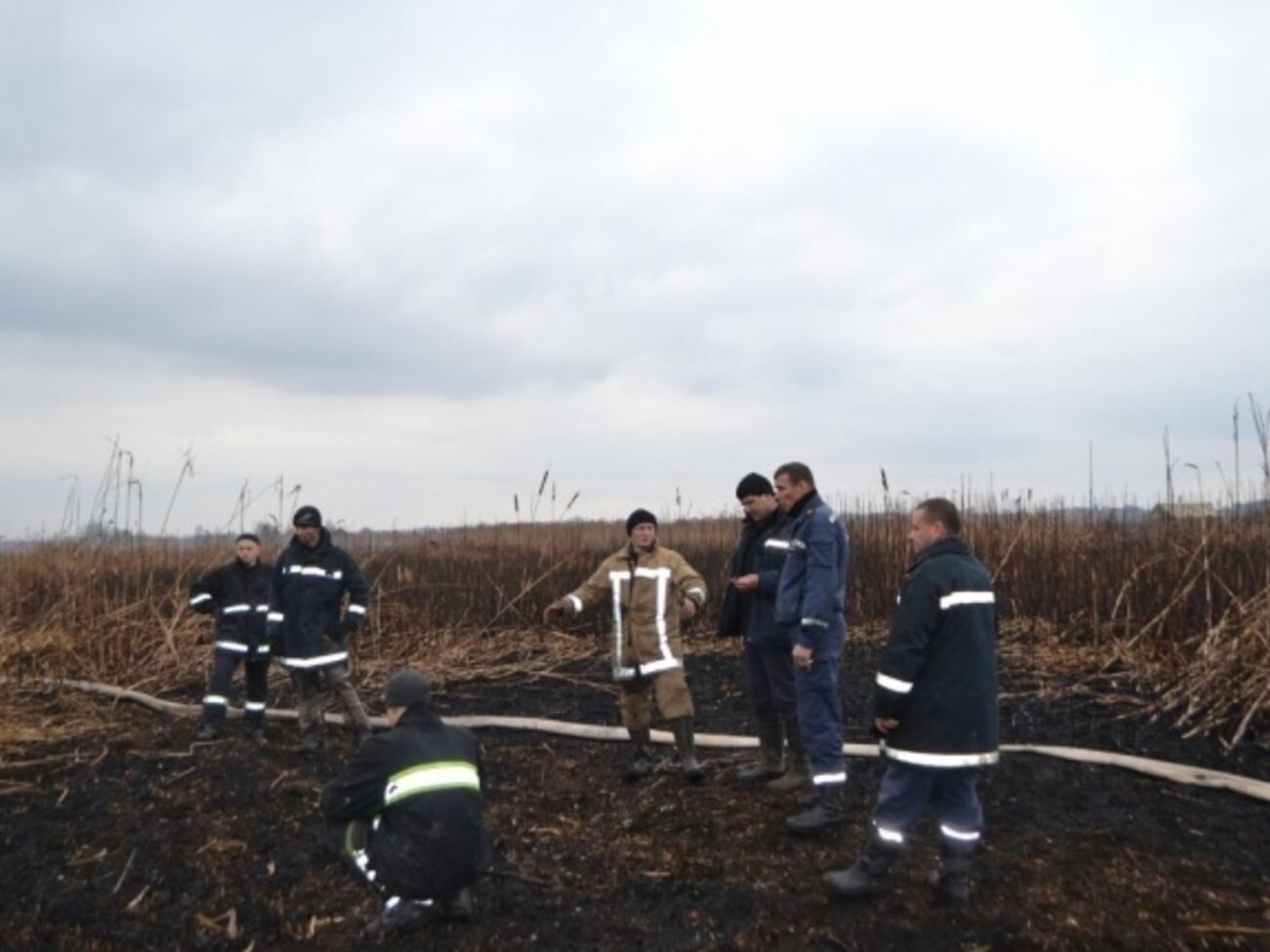После дождей пожары в торфяниках под Киевом пошли на убыль