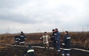 После дождей пожары в торфяниках под Киевом пошли на убыль