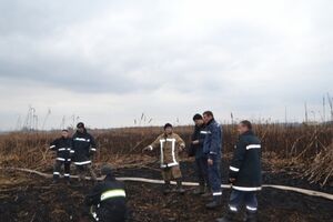 После дождей пожары в торфяниках под Киевом пошли на убыль