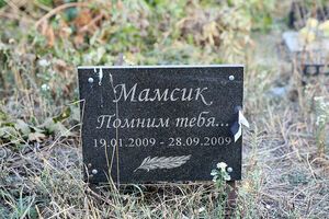 Лебедев счел смешной затею киевлян