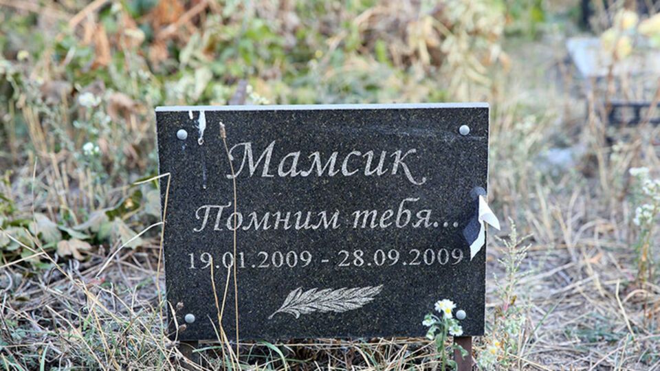 Лебедев счел смешной затею киевлян