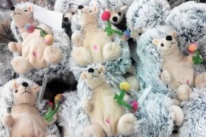 Омбудсмену не понравился пупок у игрушечных ежиков